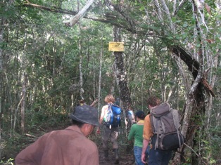 View of four people walking on the trail from behind.